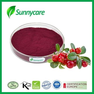 Cranberry Extract 25% Proanthocyanidins Anthocyanin Cranberry Fruit Juice Powder