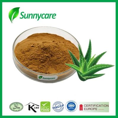 Cosmetic Aloe Vera Extract Powder 100X 200X Aloe Vera Gel Freeze Dried Powder