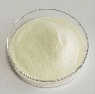 Omega 3 Algal DHA Powder DHA 10% CWS Microalgae DHA Powder