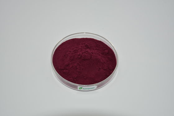 Nutritional Superfood Beetroot Extract Juice Powder with 0.3% Betaine Nitrate from Root