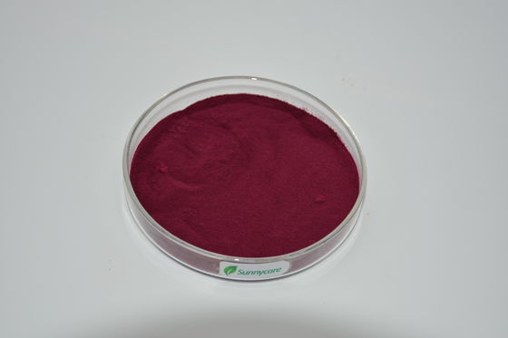 Nutritional Superfood Beetroot Extract Juice Powder with 0.3% Betaine Nitrate from Root