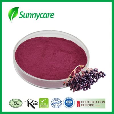 Elderberry Extract Powder for Cardiovascular Health and Antioxidant Support