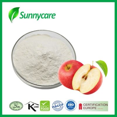 Apple Cider Vinegar ACV Powder Malus Pumila Mill 5% 10% Organic Acid BRC Halal Kosher