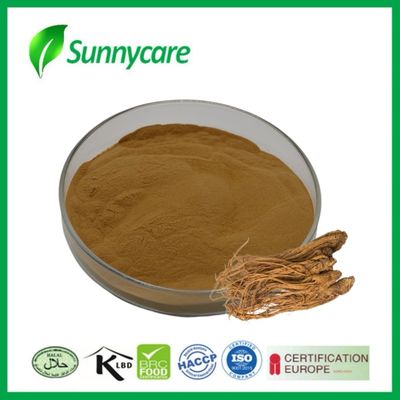 Dong Quai Extract Angelica sinensis Boost Immunity Functional Foods Energy Drinks