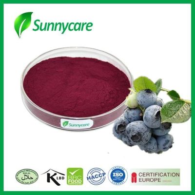 European Vaccinium Myrtillus Bilberry Fruit Extract 25% 36% Anthocyanins UV HPLC