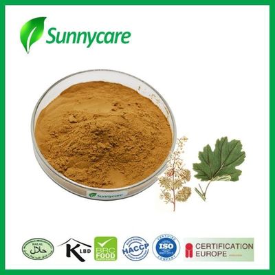 Sanguinarine Plumepoppy Animal Nutrition Ingredients Macleaya Cordata Extract Powder