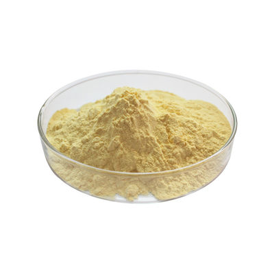 Gypenosides 80% 98% Jiaogulan Root Extract Gynostemma Pentaphyllum Extract